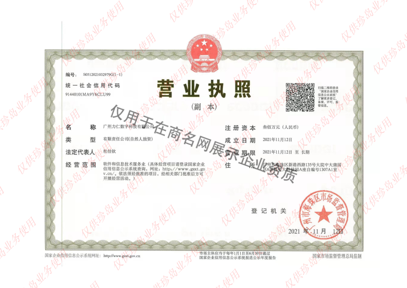广州力仁数字科技有限公司企业证书