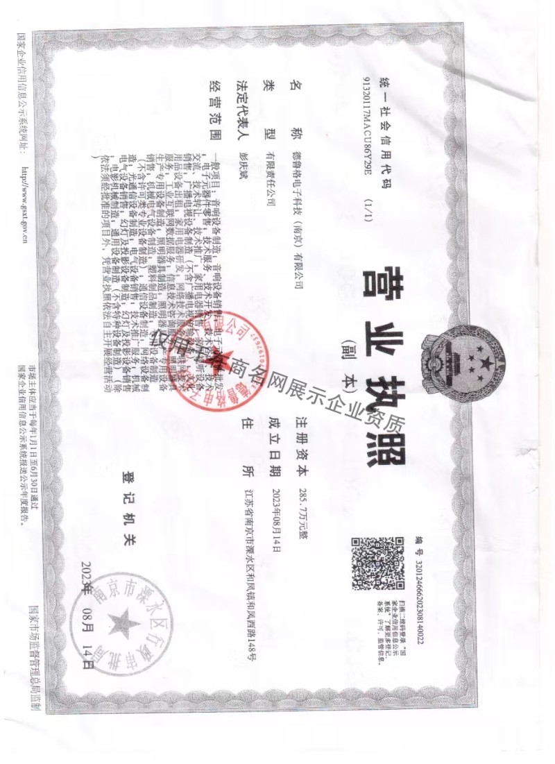 德鲁格电子科技（南京）有限公司企业证书