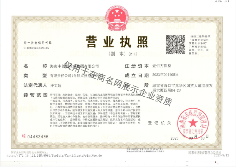海南中留服教育集团有限公司企业证书