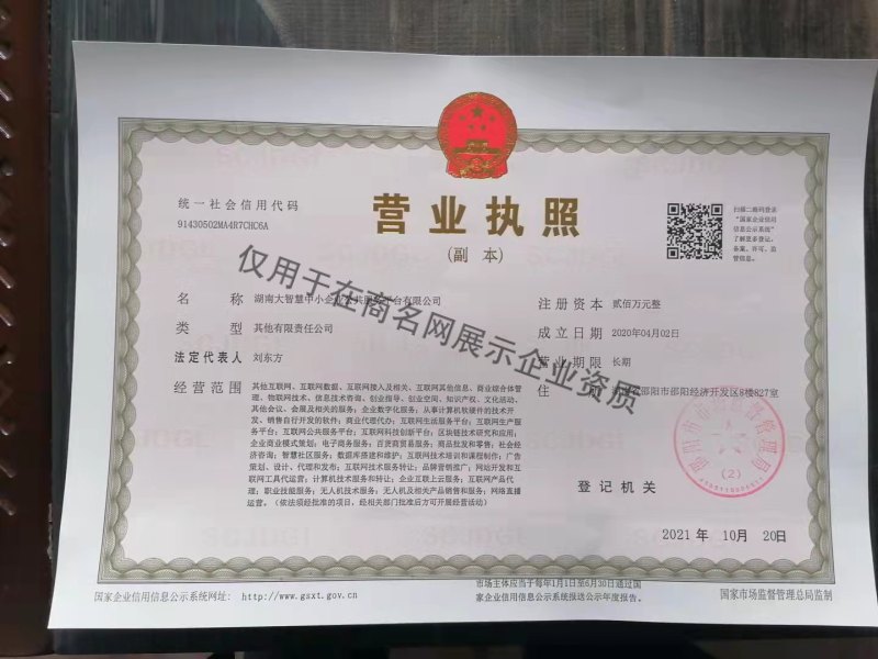 湖南大智慧中小企业公共服务平台有限公司企业证书